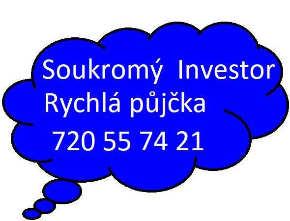 Přímý Investor