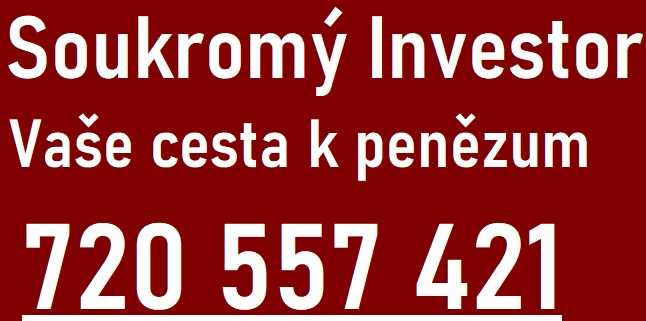 Přímý Investor