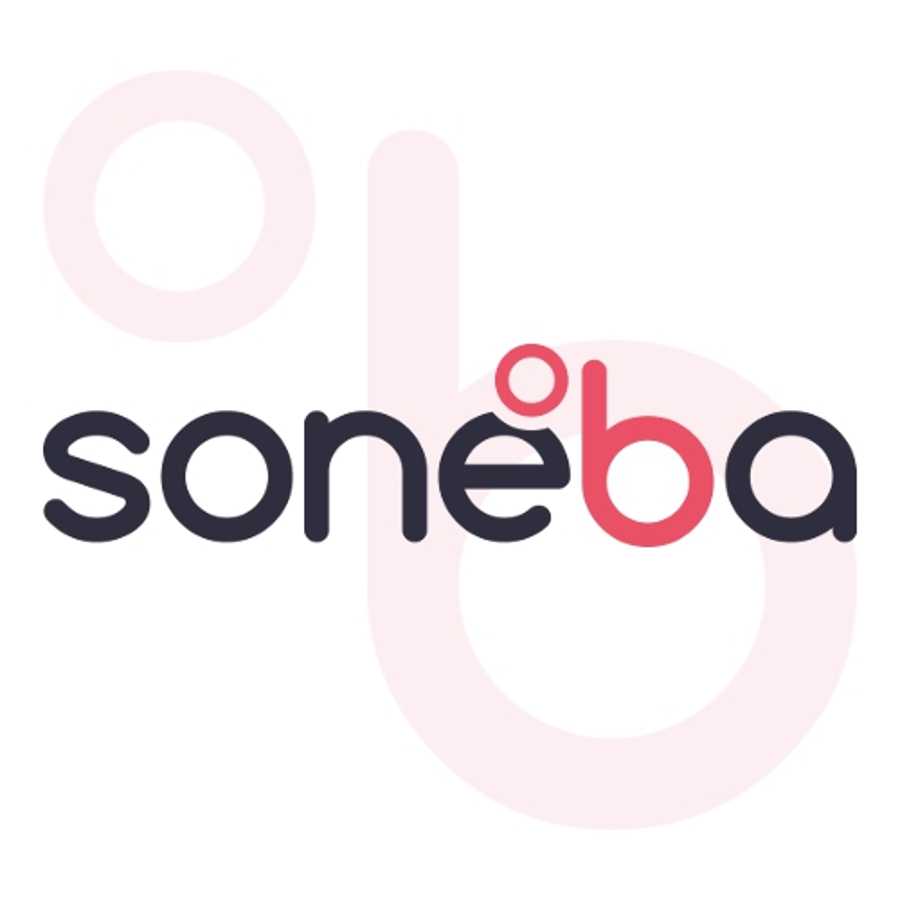 SONEBA – americká hypotéka, refinancování, exekuce
